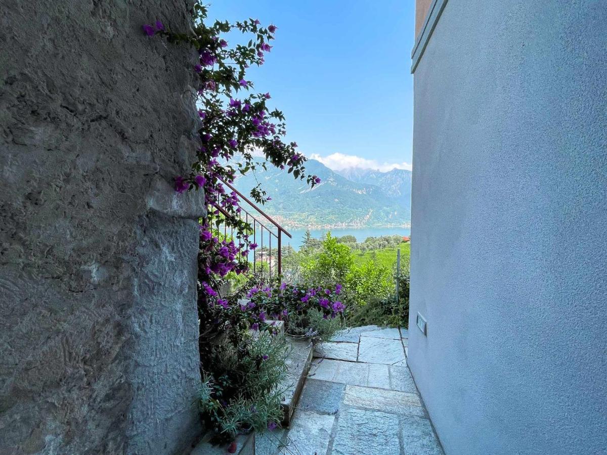 Antico Torchio Apartment Limonta Экстерьер фото
